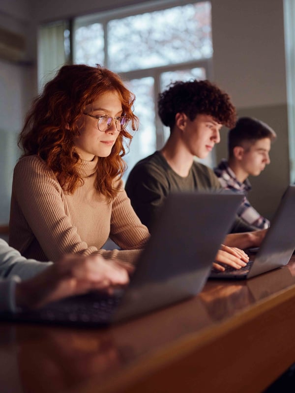 People studying on laptop computers
